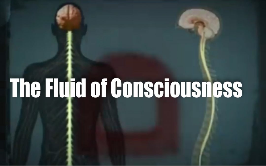 The Fluid of Consciousness