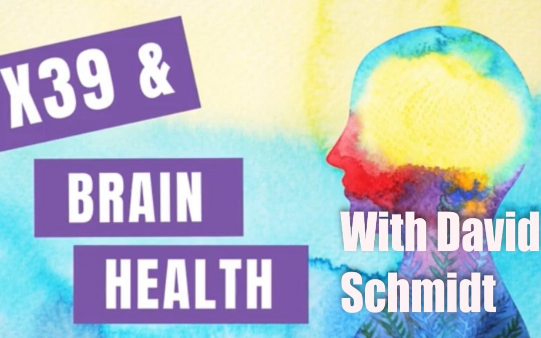 X39 and brain health – David Schmidt