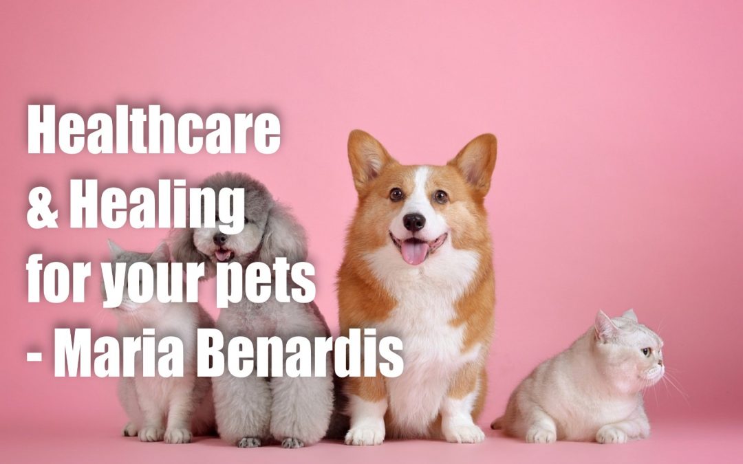 Health Care and Healing for your Pets – Maria Benardis