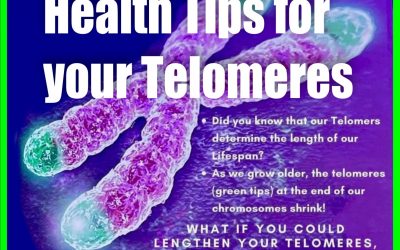 Health Tips for your Telomeres – Maria Benardis